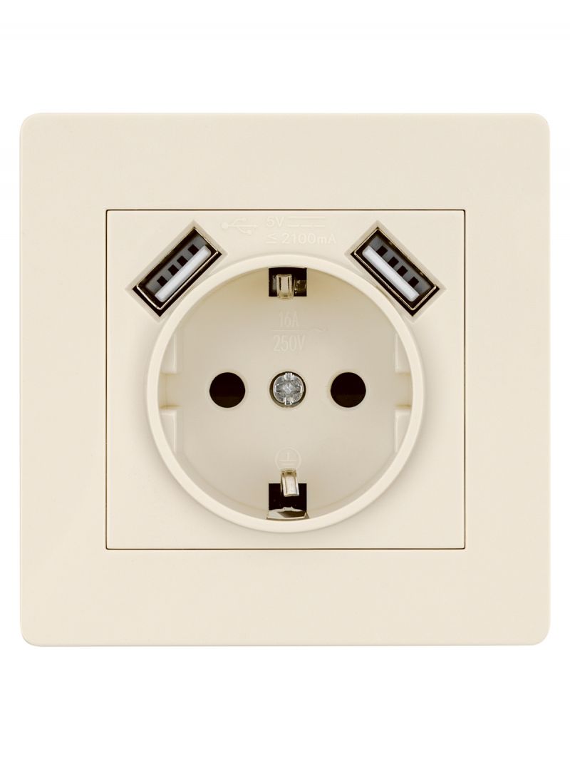 Розетка 2П+З 16А 250В + 2 USB порта 2,1А 5В сл. кость 