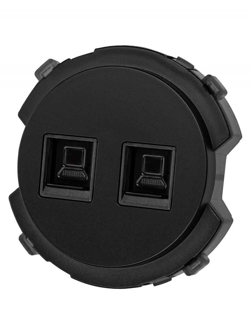 Розетка компьютерная двойная RJ45 агат, 
