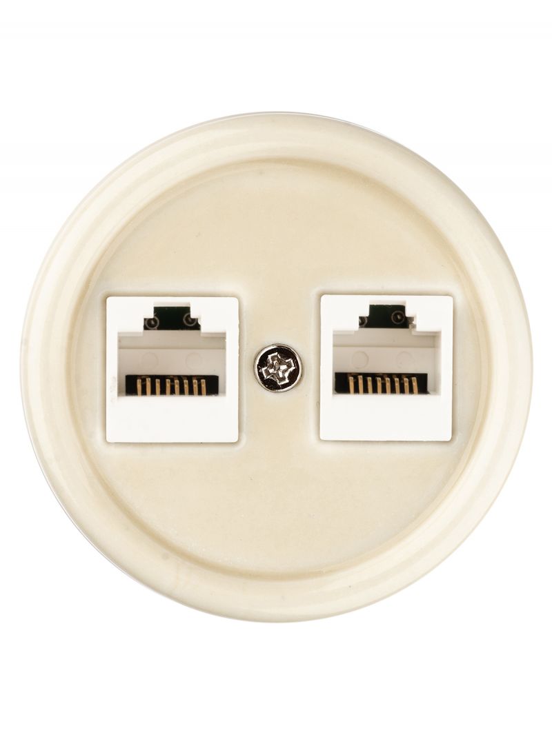 Розетка двойная компьютерная RJ45 сл. кость «Болонь» TDM