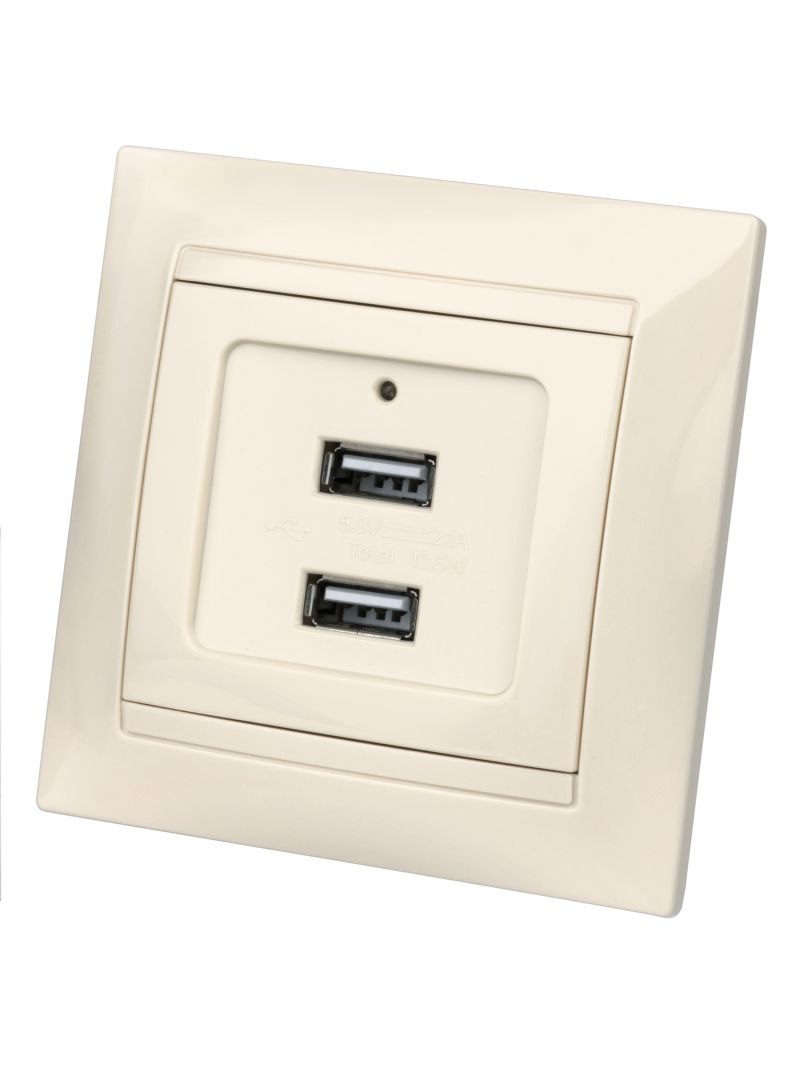 Розетка 2USB порт 2,1А 5В сл. кость 